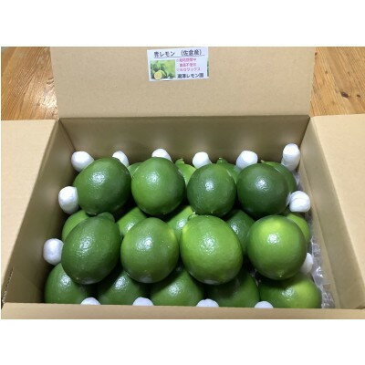 レモン　3.0kg【1677025】