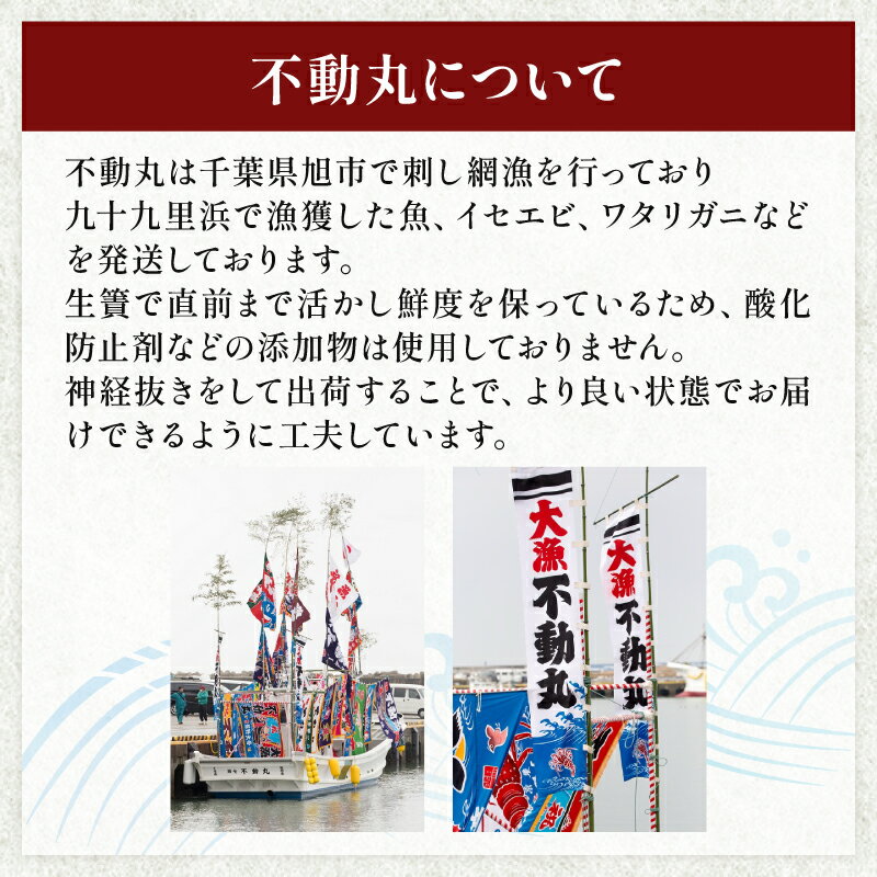 【ふるさと納税】 ≪千葉ブランド水産物認定品≫ 活 はまぐり 選べる 約 1kg (10〜16個)〜約8kg (85〜110個位) 砂抜き 九十九里産 天然 蛤 活はまぐり 砂抜き 冷蔵 魚介 海鮮 貝 味噌汁 酒蒸し 九十九里 お祝い ひなまつり ふるさと納税はまぐり 不動丸 千葉県 旭市 サムネイル3