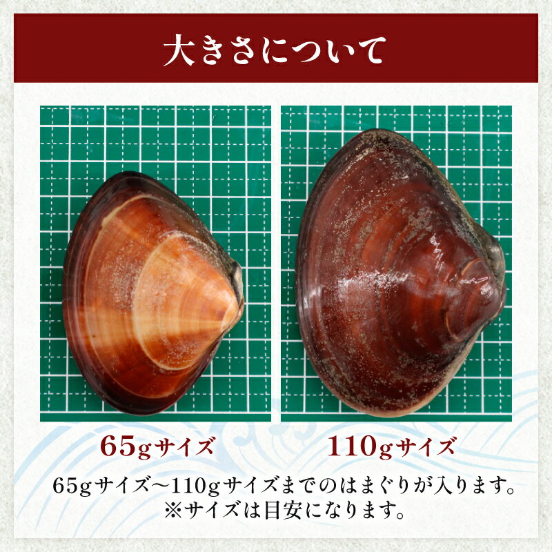 【ふるさと納税】 ≪千葉ブランド水産物認定品≫ 活 はまぐり 選べる 約 1kg (10〜16個)〜約8kg (85〜110個位) 砂抜き 九十九里産 天然 蛤 活はまぐり 砂抜き 冷蔵 魚介 海鮮 貝 味噌汁 酒蒸し 九十九里 お祝い ひなまつり ふるさと納税はまぐり 不動丸 千葉県 旭市 サムネイル2