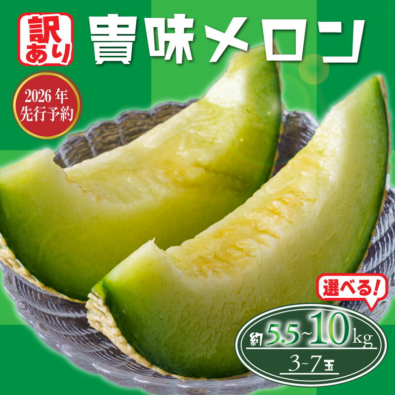 2026 年発送 訳あり メロン 先行予約 貴味メロン 青肉 選べる 約5.5kg / 約10kg めろん melon 青肉メロン タカミメロン 10000円 1万円 糖度 高級 果物 くだもの フルーツ 旬 贈答 ギフト 贈答用 プレゼント 産地直送 送料無料 千葉県 旭市 たかの果樹園