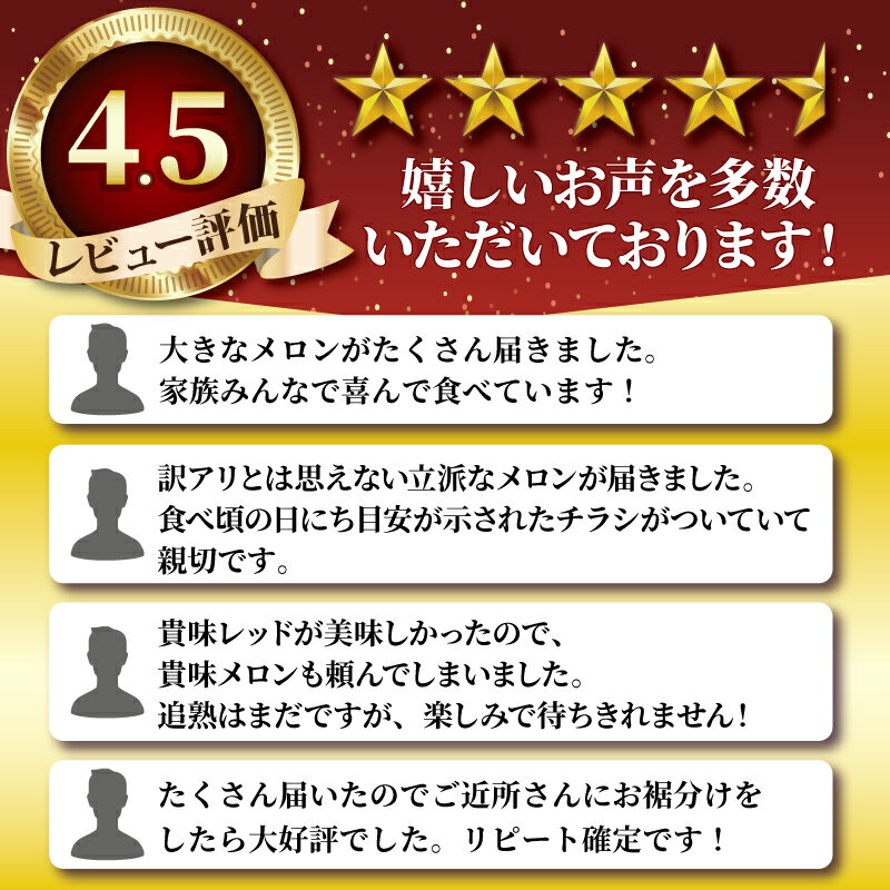 【ふるさと納税】 2026 年発送 訳あり メロン 先行予約 貴味メロン 青肉 選べる 約5.5kg / 約10kg めろん melon 青肉メロン タカミメロン 10000円 1万円 糖度 高級 果物 くだもの フルーツ 旬 贈答 ギフト 贈答用 プレゼント 産地直送 送料無料 千葉県 旭市 たかの果樹園 サムネイル2