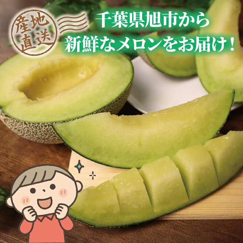 【ふるさと納税】 2026 年発送 訳あり メロン 先行予約 貴味メロン 青肉 選べる 約5.5kg / 約10kg めろん melon 青肉メロン タカミメロン 10000円 1万円 糖度 高級 果物 くだもの フルーツ 旬 贈答 ギフト 贈答用 プレゼント 産地直送 送料無料 千葉県 旭市 たかの果樹園 サムネイル3