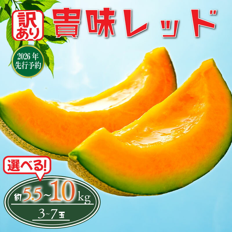 2026 年発送 訳あり メロン 先行予約 貴味レッド 赤肉 選べる 約5.5kg / 約10kg めろん melon 赤肉メロン タカミレッド 10000円 1万円 糖度 高級 果物 くだもの フルーツ 旬 贈答 ギフト 贈答用 プレゼント 産地直送 送料無料 千葉県 旭市 たかの果樹園