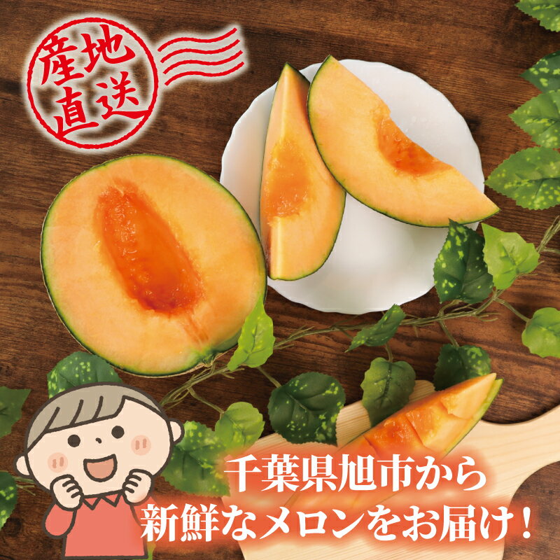 【ふるさと納税】 2026 年発送 訳あり メロン 先行予約 貴味レッド 赤肉 選べる 約5.5kg / 約10kg めろん melon 赤肉メロン タカミレッド 10000円 1万円 糖度 高級 果物 くだもの フルーツ 旬 贈答 ギフト 贈答用 プレゼント 産地直送 送料無料 千葉県 旭市 たかの果樹園 サムネイル3