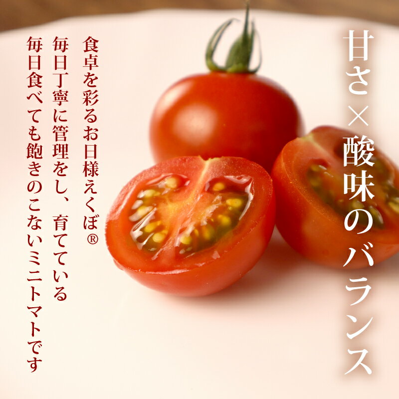 【ふるさと納税】 【先行予約】訳あり ミニトマト 1.5kg 冷蔵配送 2026年5月・6月発送 トマト 旬 新鮮 野菜 やさい 夏野菜 とまと 簡易包装 箱入り ご褒美 サラダ トマトジュース パスタ お弁当 ジューシー 送料無料 産地直送 千葉県 旭市 石井ファーム - 画像3