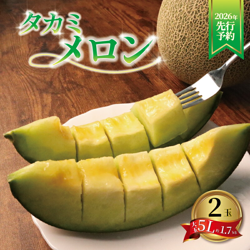 【 2026年発送 先行予約 】 メロン 青肉 5L 約 1.7kg × 2玉 セット めろん 果物 フルーツ 飯岡メロン 国産 デザート くだもの 旬 プレゼント 贈答 ギフト スイーツ 野菜 お祝い お礼 母の日 父の日 お中元 送料無料 千葉県 旭市 スズキメロンファーム
