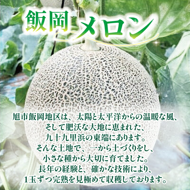 【ふるさと納税】 【 2026年発送 先行予約 】 訳あり メロン 約 5.5kg以上 3〜6玉 青肉 めろん フルーツ 果物 くだもの 訳アリ 傷 産地直送 不揃い 規格外 人気 おすすめ 送料無料 ふるさと ふるさと納税メロン ふるさと納税フルーツ 千葉県 旭市 スズキメロンファーム サムネイル3