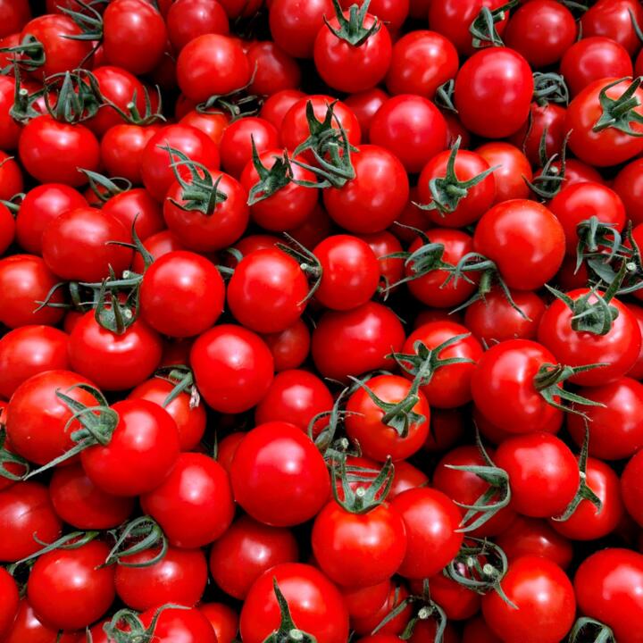 【ふるさと納税】 トマト 贈答用 約 1kg フルーツトマト 国産 とまと 濃厚 完熟 旬 ふるーつとまと 糖度 高糖度 野菜 やさい 朝採れ 産地直送 フルティカ 人気 おすすめ ご褒美 ギフト 贈答 サラダ 送料無料 千葉県 旭市 株式会社 はなわ農園 - 画像2