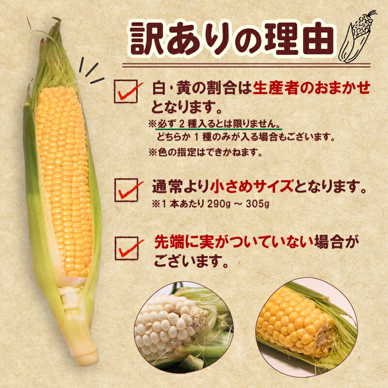 【ふるさと納税】 2026年 先行予約 おまかせ 訳あり 朝採れ とうもろこし 15本 黄色 白 ホワイトコーン ホワイト コーン スイートコーン 新鮮 旬 野菜 夏野菜 朝採り とうきび BBQ バーベキュー 数量限定 季節限定 送料無料 産地直送 冷蔵 千葉県 旭市 株式会社はなわ農園 - 画像2