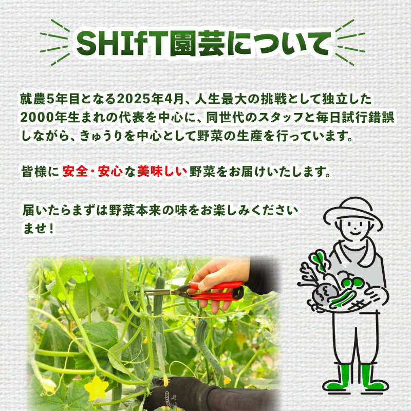 【ふるさと納税】 【 2026年 先行予約 】訳あり きゅうり 約4kg きゅうり 胡瓜 野菜 夏野菜 サラダ 冷麺 漬物 漬け物 ぬか漬け 酢の物 1本漬け 浅漬け 冷やしきゅうり キムチ きゅうりちくわ ちくわきゅうり 産地直送 新鮮 訳あり 千葉県 旭市 - 画像3