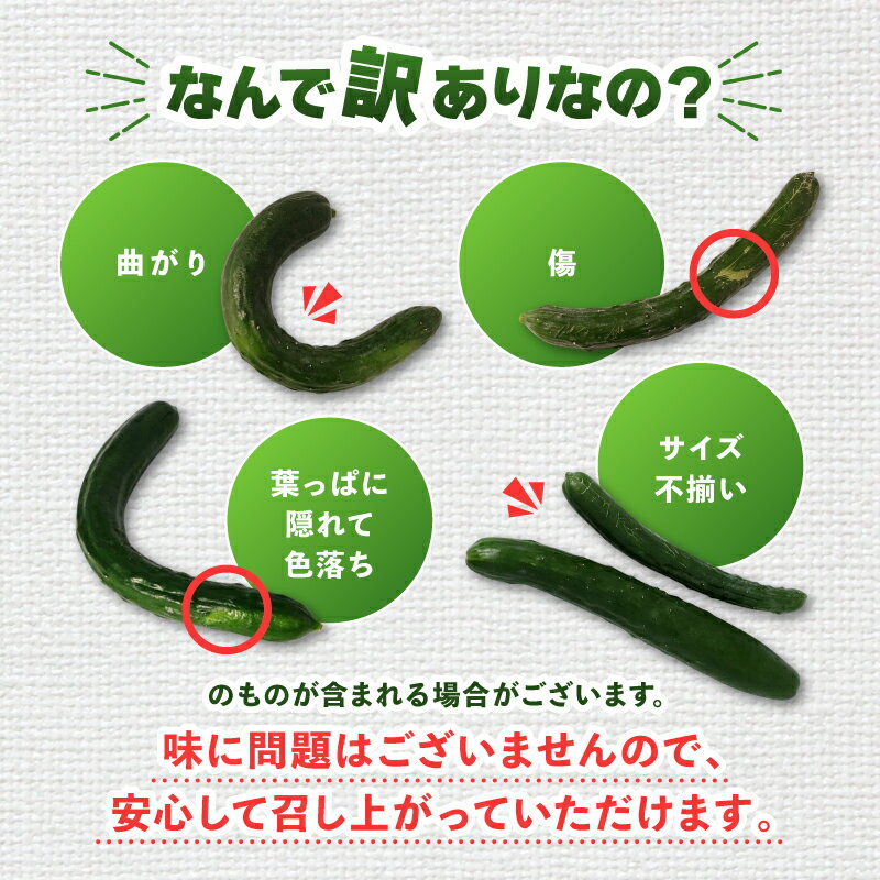 【ふるさと納税】 【 2026年 先行予約 】訳あり きゅうり 約4kg きゅうり 胡瓜 野菜 夏野菜 サラダ 冷麺 漬物 漬け物 ぬか漬け 酢の物 1本漬け 浅漬け 冷やしきゅうり キムチ きゅうりちくわ ちくわきゅうり 産地直送 新鮮 訳あり 千葉県 旭市 - 画像2