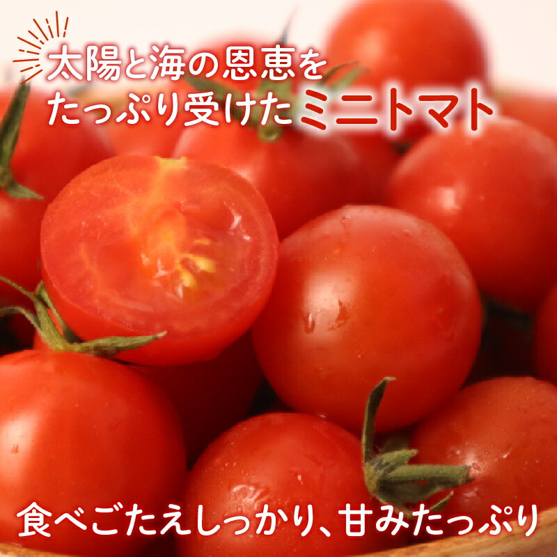 【ふるさと納税】 ミニトマト 約 2kg 以上 / 約 720g 選べる容量トマト プチトマト 期間限定 数量限定 甘い 野菜 やさい サラダ フルーツ 旬 濃厚 送料無料 小分け 千葉県 旭市 伊藤SUN FARM - 画像2