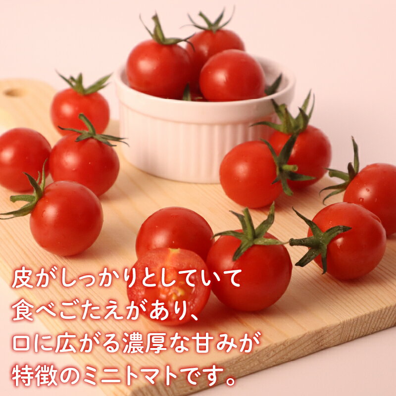 【ふるさと納税】 ミニトマト 約 2kg 以上 / 約 720g 選べる容量トマト プチトマト 期間限定 数量限定 甘い 野菜 やさい サラダ フルーツ 旬 濃厚 送料無料 小分け 千葉県 旭市 伊藤SUN FARM - 画像3