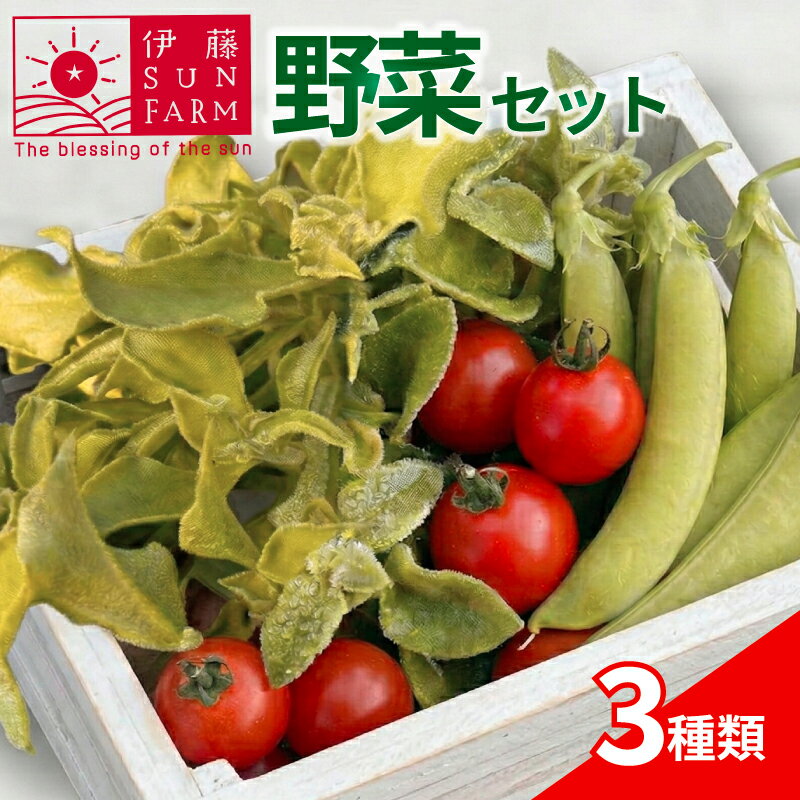伊藤SUN FARM 野菜セット ミニトマト スナップエンドウ アイスプラント 期間限定 数量限定 サラダ 野菜 やさい 送料無料 千葉県 旭市 伊藤SUN FARM