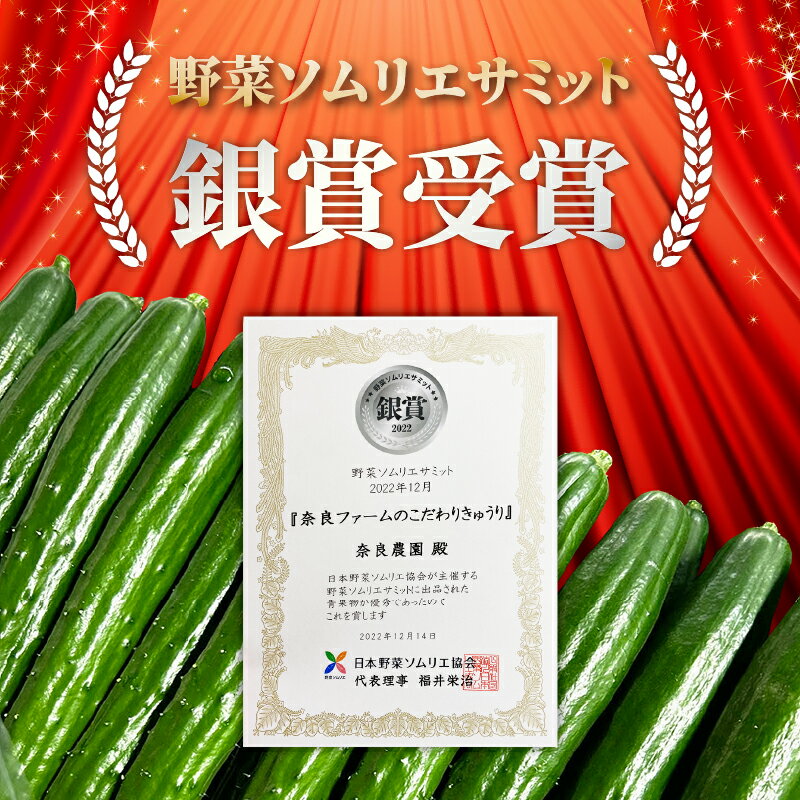 【ふるさと納税】 【2026年度発送 先行予約】 ＜産直＞きゅうり50本 きゅうり 胡瓜 野菜 夏野菜 サラダ 冷麺 漬物 漬け物 ぬか漬け 酢の物 1本漬け 浅漬け 冷やしきゅうり キムチ きゅうりちくわ ちくわきゅうり 産地直送 新鮮 千葉県 旭市 奈良ファーム nrf001 - 画像2