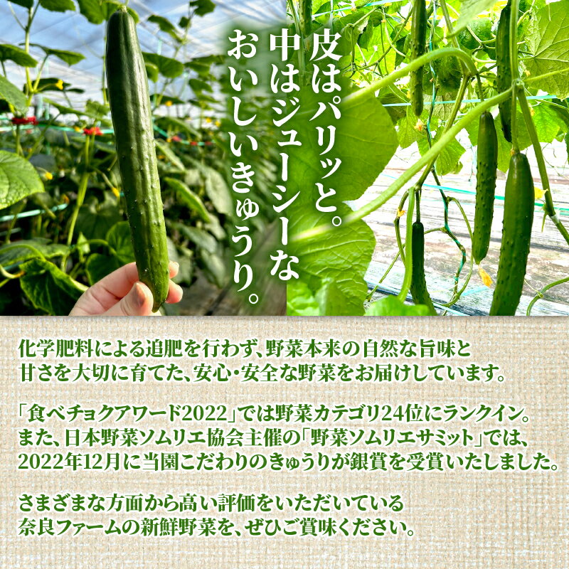 【ふるさと納税】 【2026年度発送 先行予約】 ＜産直＞きゅうり50本 きゅうり 胡瓜 野菜 夏野菜 サラダ 冷麺 漬物 漬け物 ぬか漬け 酢の物 1本漬け 浅漬け 冷やしきゅうり キムチ きゅうりちくわ ちくわきゅうり 産地直送 新鮮 千葉県 旭市 奈良ファーム nrf001 - 画像3