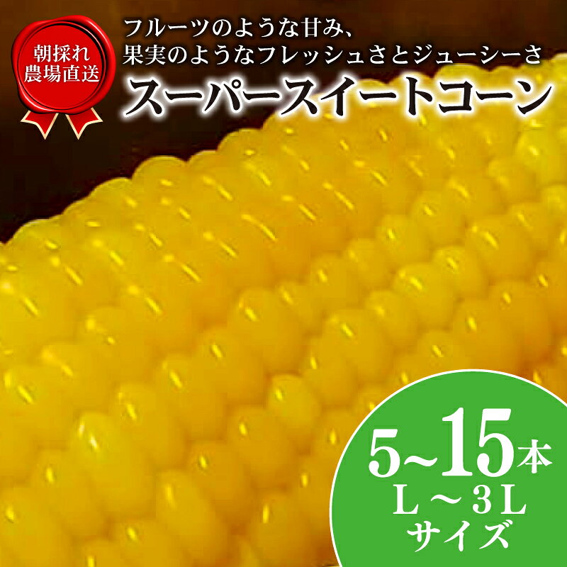 【数量限定】 とうもろこし スーパースイートコーン 5本 - 15本 選べる 容量 2026年6月中旬発送開始予定 期間限定 生 トウモロコシ コーン オオモノ 旬 野菜 夏野菜 冷蔵発送 送料無料 産地直送 千葉県 旭市 オオナギファーム