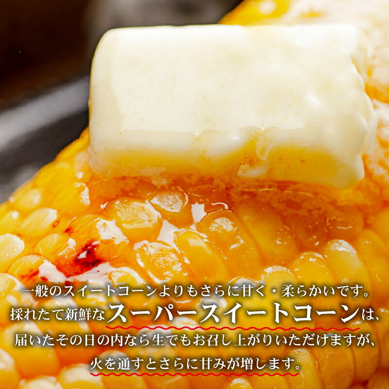 【ふるさと納税】 【数量限定】 とうもろこし スーパースイートコーン 5本 - 15本 選べる 容量 2026年6月中旬発送開始予定 期間限定 生 トウモロコシ コーン オオモノ 旬 野菜 夏野菜 冷蔵発送 送料無料 産地直送 千葉県 旭市 オオナギファーム - 画像3
