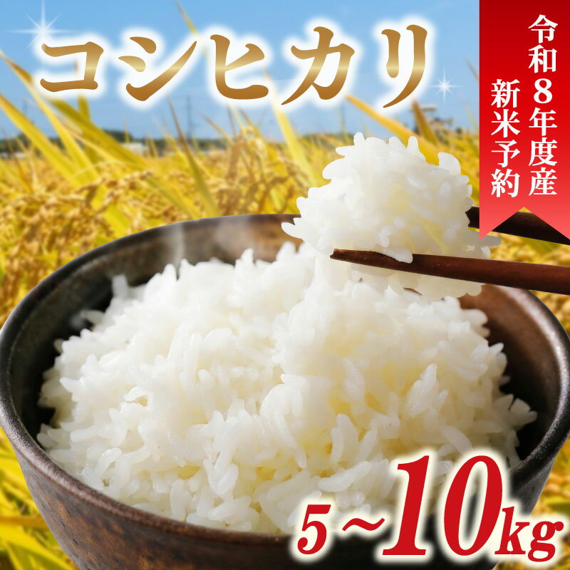 令和8年産 新米 米 コシヒカリ 5kg 10kg 先行予約 精米 白米 新米5kg 新米10kg 2026年度 8年産 お米 ご飯 こめ コメ kome ライス こしひかり 10000円 20000円 備蓄 防災 お弁当 産地直送 送料無料 国産 千葉県産 ふるさと納税 千葉県 旭市 小島農園