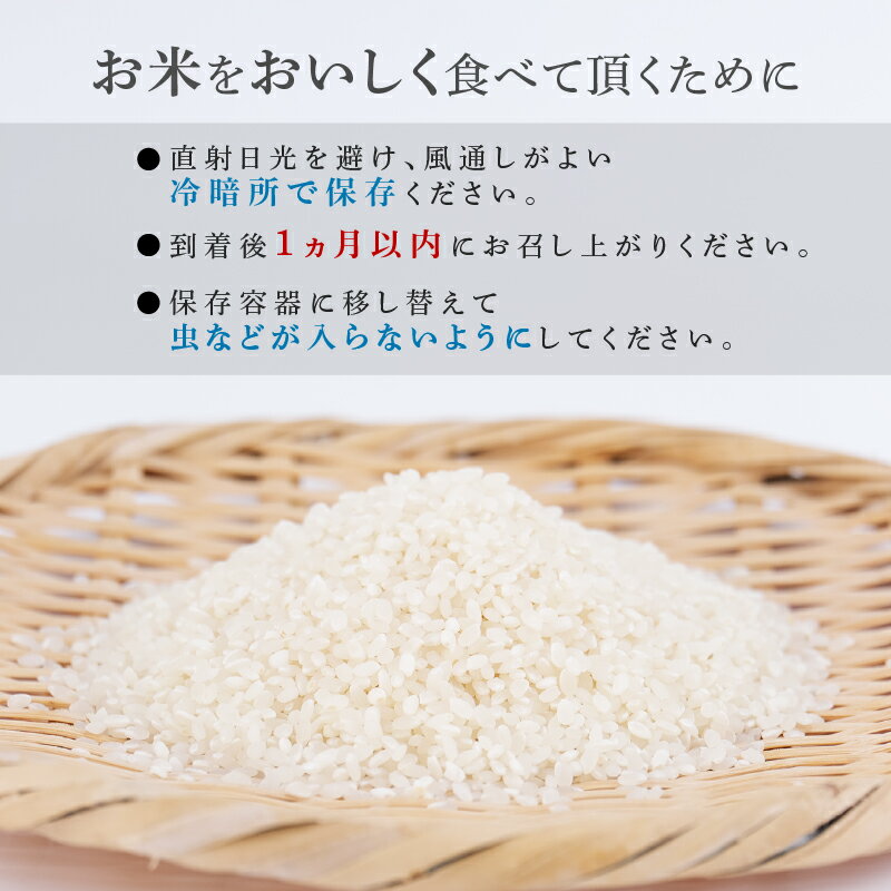 【ふるさと納税】 令和8年産 新米 米 コシヒカリ 5kg 10kg 先行予約 精米 白米 新米5kg 新米10kg 2026年度 8年産 お米 ご飯 こめ コメ kome ライス こしひかり 10000円 20000円 備蓄 防災 お弁当 産地直送 送料無料 国産 千葉県産 ふるさと納税 千葉県 旭市 小島農園 - 画像3