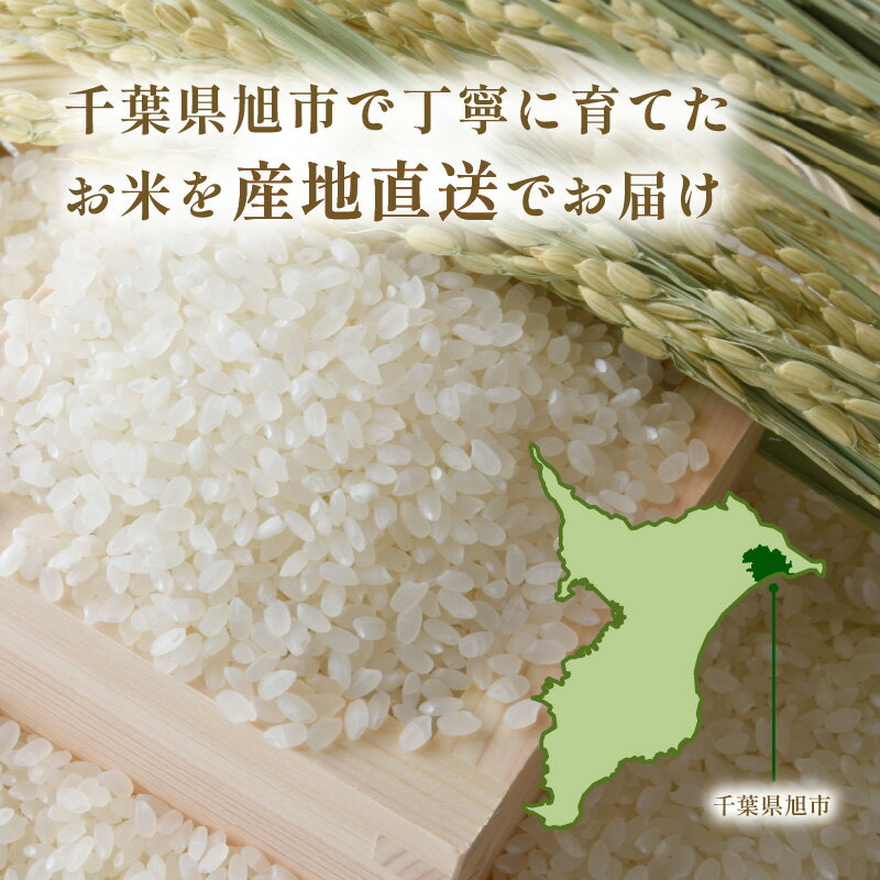【ふるさと納税】 令和8年産 新米 米 コシヒカリ 5kg 10kg 先行予約 精米 白米 新米5kg 新米10kg 2026年度 8年産 お米 ご飯 こめ コメ kome ライス こしひかり 10000円 20000円 備蓄 防災 お弁当 産地直送 送料無料 国産 千葉県産 ふるさと納税 千葉県 旭市 小島農園 - 画像2