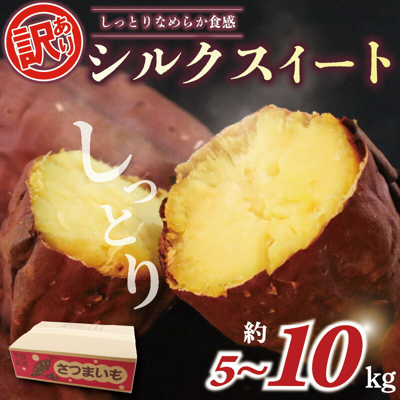 訳あり シルクスイート 選べる 約 5kg 10kg さつまいも 土付き サツマイモ 芋 さつま いも 芋 わけあり 不揃い 焼き芋 焼きいも 干し芋 干しいも スイーツ 家庭用 野菜 産地直送 送料無料 5000円 10000円 五千円 一万円 千葉県 旭市 向後メロン園