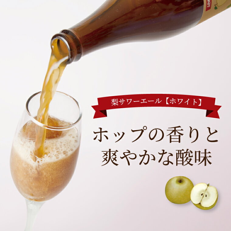 【ふるさと納税】 ビール クラフトビール 梨サワーエール ホワイト お酒 発泡酒 フルーティ SDGs 廃棄梨 果実酒 瓶 飲みやすい アルコール おすすめ 美味しい ギフト プレゼント 誕生日 贈り物 お土産 お祝い お礼 パーティ クリスマス お歳暮 御歳暮 母の日 父の日 サムネイル2
