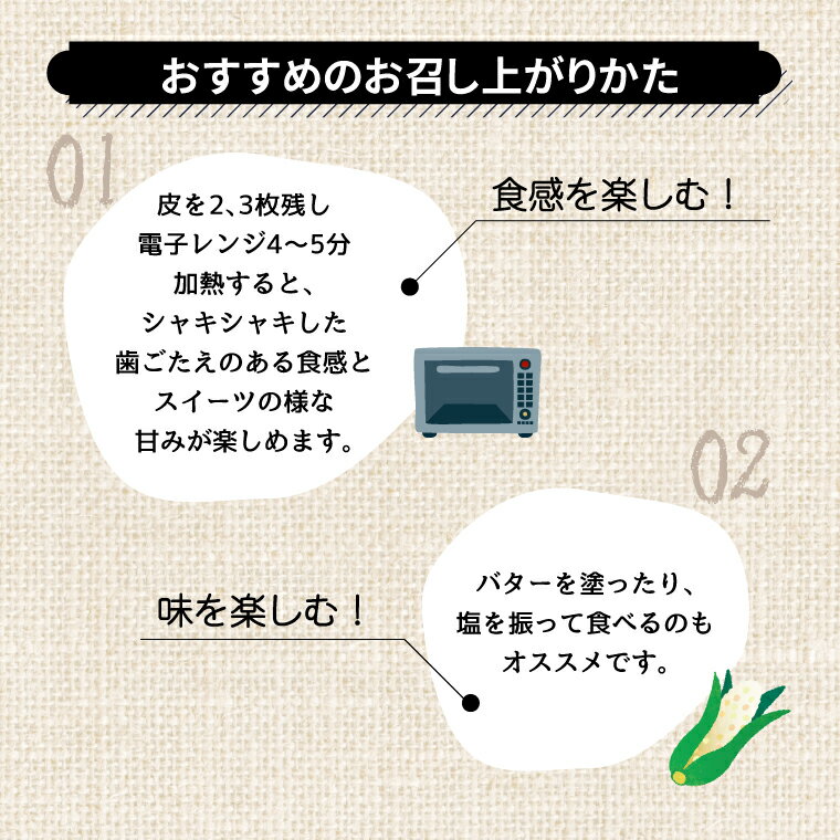 【ふるさと納税】【先行予約】【2026年7月発送】 とうもろこし ホワイトショコラ 15本 野菜 トウモロコシ コーン 白とうもろこし 甘い 国産 千葉県産 柏市産 産地直送 予約 おいしい 取り寄せ おすすめ おススメ プレゼント ギフト 贈り物 大量 バーベキュー BBQ 予約 - 画像3