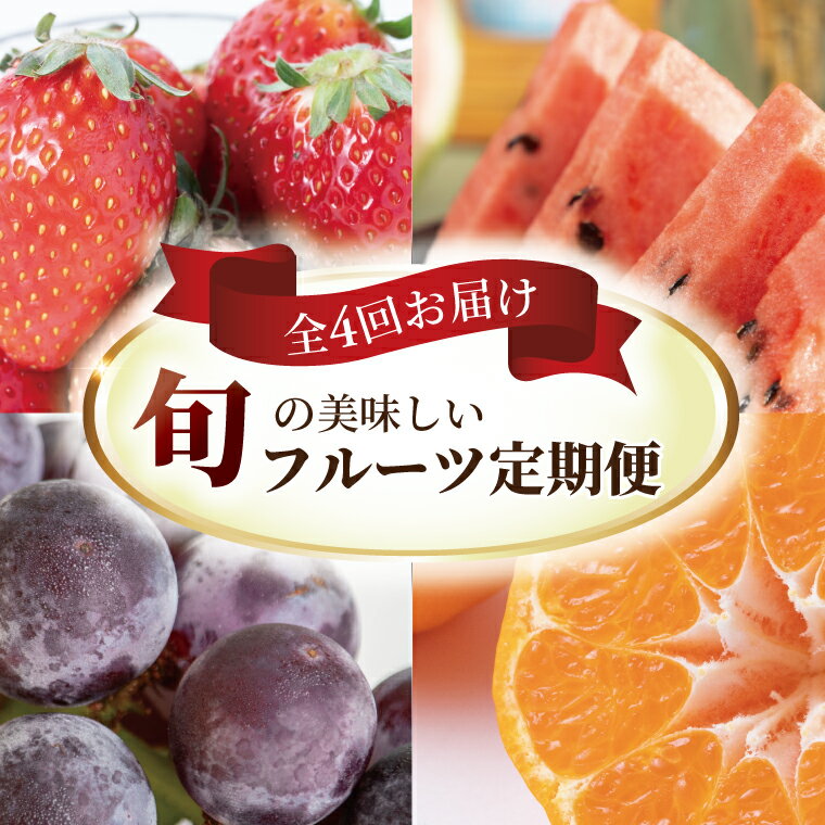 【定期便】 フルーツ 定期便 全4回 果物 いちご すいか 巨峰 みかん 3か月毎 旬 国産 産地直送 千葉県産 柏市産 おいしい おすすめ 新鮮 くだもの イチゴ 苺 ぶどう 葡萄 ブドウ