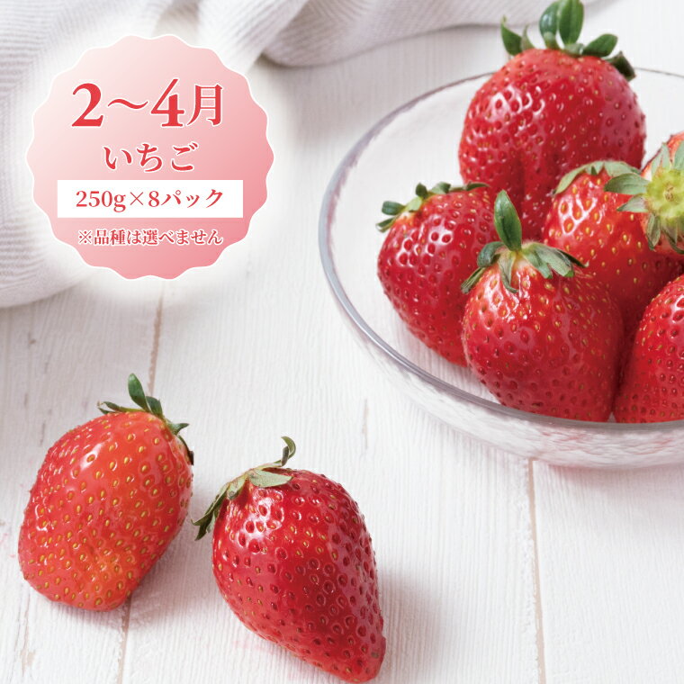 【ふるさと納税】【定期便】 フルーツ 定期便 全4回 果物 いちご すいか 巨峰 みかん 3か月毎 旬 国産 産地直送 千葉県産 柏市産 おいしい おすすめ 新鮮 くだもの イチゴ 苺 ぶどう 葡萄 ブドウ サムネイル2