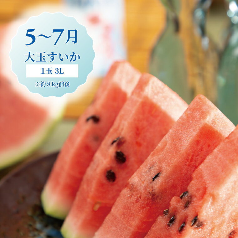 【ふるさと納税】【定期便】 フルーツ 定期便 全4回 果物 いちご すいか 巨峰 みかん 3か月毎 旬 国産 産地直送 千葉県産 柏市産 おいしい おすすめ 新鮮 くだもの イチゴ 苺 ぶどう 葡萄 ブドウ サムネイル3