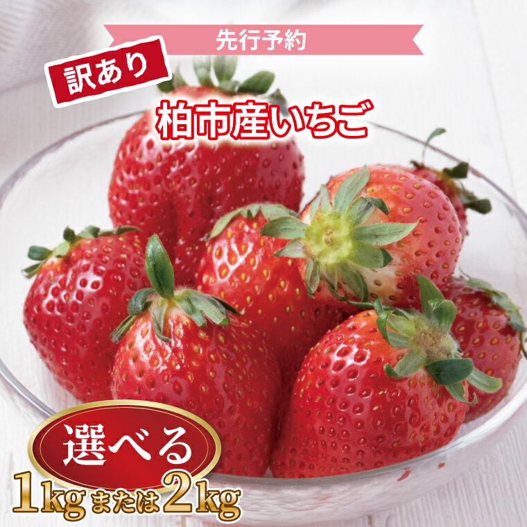 【先行予約】【2026年1月発送開始】 訳あり いちご 詰め合わせ セット 果物 フルーツ 選べる 1kg 2kg くだもの イチゴ 苺 旬 国産 産地直送 千葉県産 柏市産 おいしい おすすめ 季節限定 大量 予約