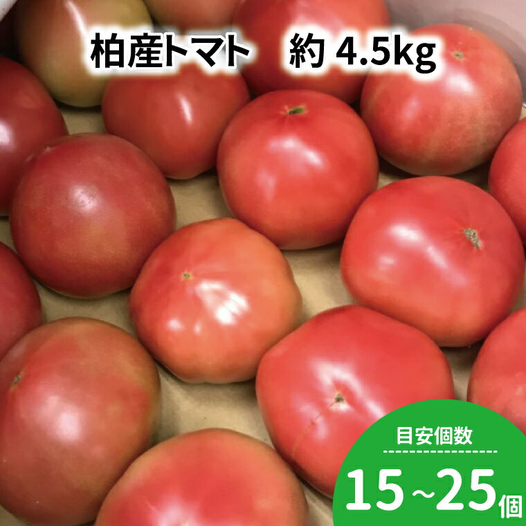トマト 4.5kg セット 野菜 美味しい おいしい 大玉 中玉 旬 国産 千葉県産 柏市産 トマトソース サラダ プレゼント 贈り物 お取り寄せ 取り寄せ おすすめ おススメ 大量 産地直送