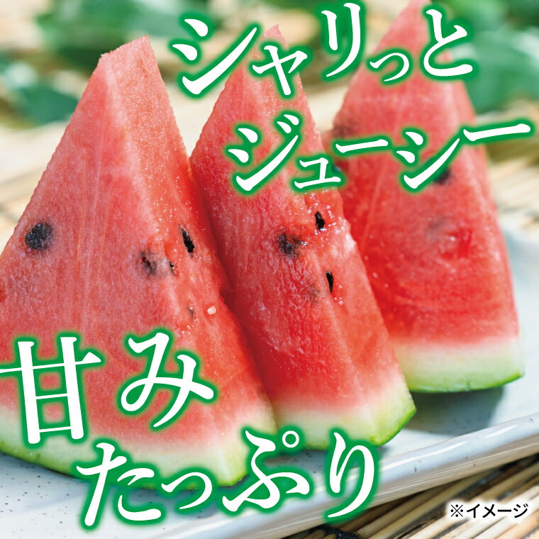 【ふるさと納税】【先行予約】【2026年6月下旬発送】 スイカ すいか フルーツ 果物 1玉 旬 国産 産地直送 千葉県産 柏市産 甘い おいしい 美味しい おすすめ 夏 デザート グルメ 予約 サムネイル2