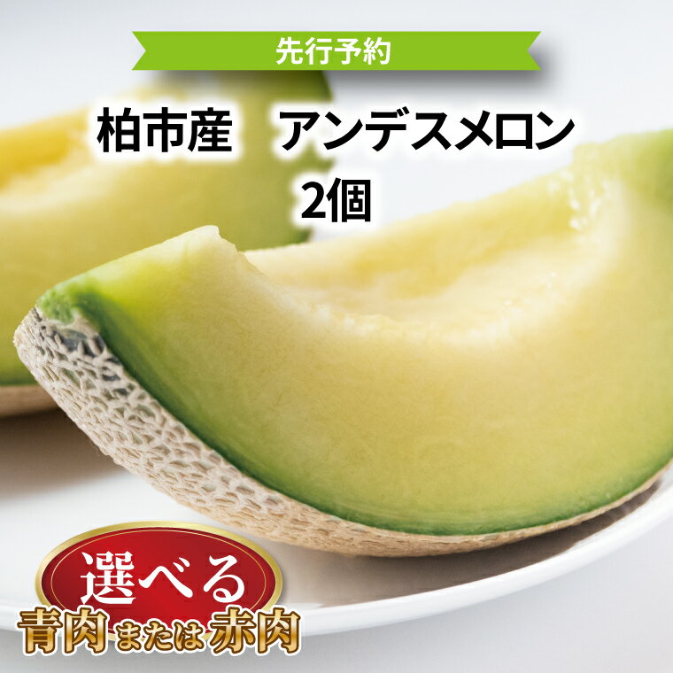 【先行予約】【2026年6月発送】 メロン アンデスメロン フルーツ 果物 2個 セット 選べる 赤肉 青肉 旬 国産 産地直送 千葉県産 柏市産 甘い おいしい 美味しい おすすめ デザート グルメ 予約