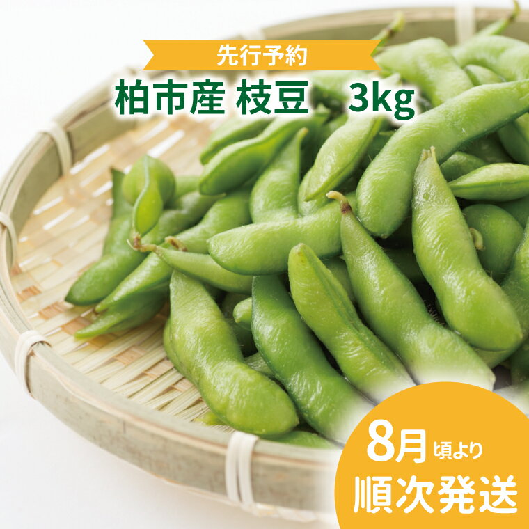 【先行予約】【2026年8月発送】 枝豆 3kg セット 野菜 国産 千葉県産 柏市産 予約 おいしい 新鮮 おつまみ 弁当 プレゼント 贈り物 父の日 母の日 おすすめ 夏野菜 えだまめ 大量 産地直送