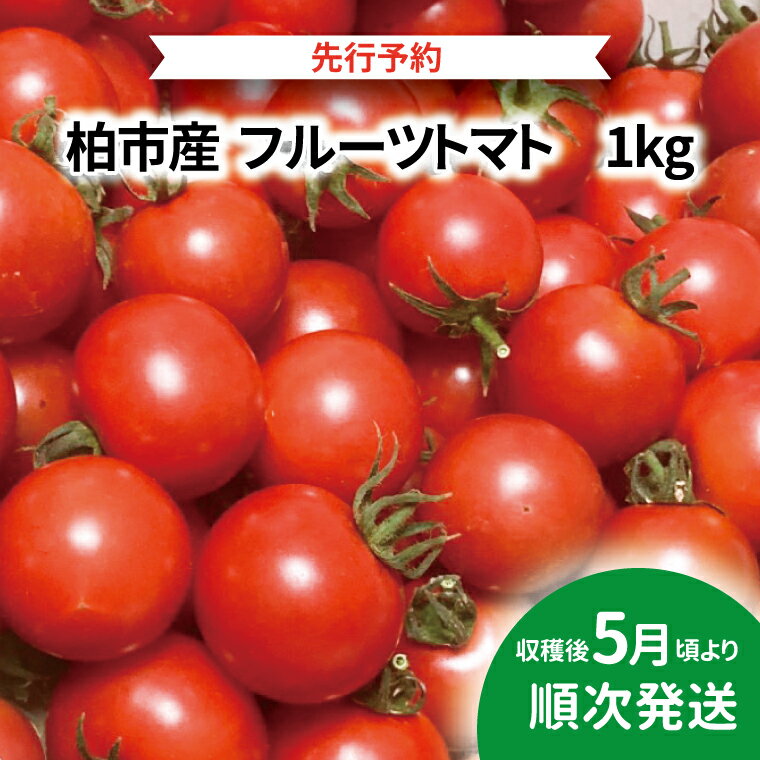 【先行予約】【2026年5月発送】 トマト フルーツトマト 1kg セット 野菜 国産 千葉県産 柏市産 甘い おいしい 美味しい 新鮮 おすすめ 旬 産地直送 リコピン サラダ 大量 予約