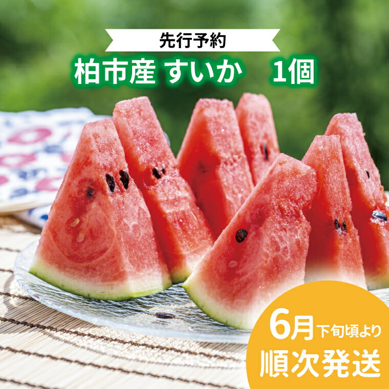 【先行予約】【2026年6月下旬発送】 スイカ すいか フルーツ 果物 1玉 旬 国産 産地直送 千葉県産 柏市産 甘い おいしい 美味しい おすすめ 夏 デザート グルメ 予約