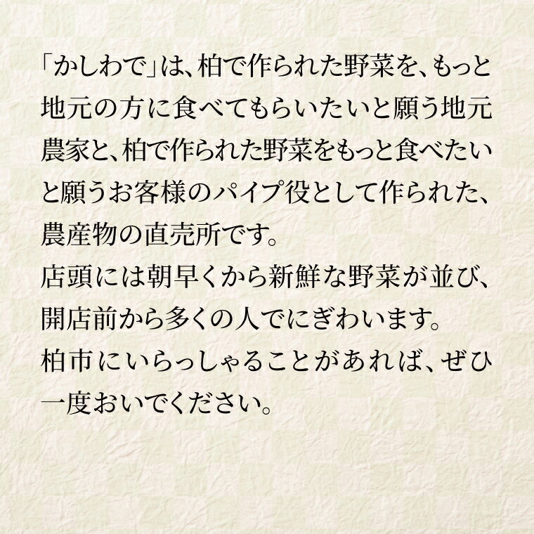 【ふるさと納税】 野菜 詰め合わせ セット 野菜セット 野菜詰め合わせ 4～5種類 旬 国産 千葉県産 柏市産 おいしい おまかせ 新鮮野菜 一人暮らし 父の日 母の日 プレゼント 贈り物 お取り寄せ 取り寄せ おすすめ おススメ 産地直送 - 画像3
