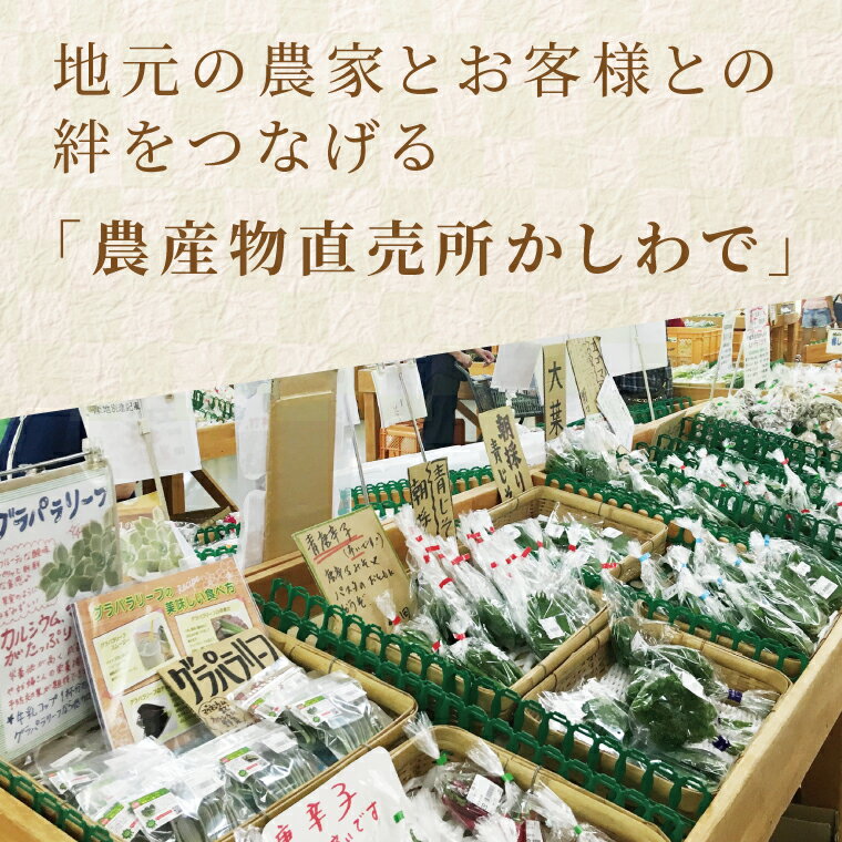 【ふるさと納税】 野菜 詰め合わせ セット 野菜セット 野菜詰め合わせ 4～5種類 旬 国産 千葉県産 柏市産 おいしい おまかせ 新鮮野菜 一人暮らし 父の日 母の日 プレゼント 贈り物 お取り寄せ 取り寄せ おすすめ おススメ 産地直送 - 画像2