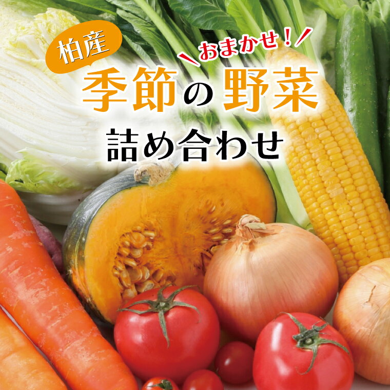 野菜 詰め合わせ セット 野菜セット 野菜詰め合わせ 4～5種類 旬 国産 千葉県産 柏市産 おいしい おまかせ 新鮮野菜 一人暮らし 父の日 母の日 プレゼント 贈り物 お取り寄せ 取り寄せ おすすめ おススメ 産地直送