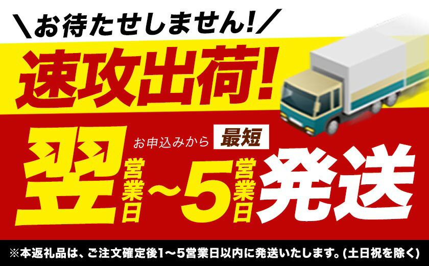 【ふるさと納税】【寄附額改定】 米 千葉ふるさと米 定期便 隔月 あり 選べる 内容量 5kg 10kg 20kg 《出荷時期をお選びください》 千葉県 勝浦市 米 白米 精米 生活応援 ブレンド米 国産 お米 おこめ 定期 2ヶ月 3ヶ月 6ヶ月 9ヶ月 12ヶ月 - 画像3