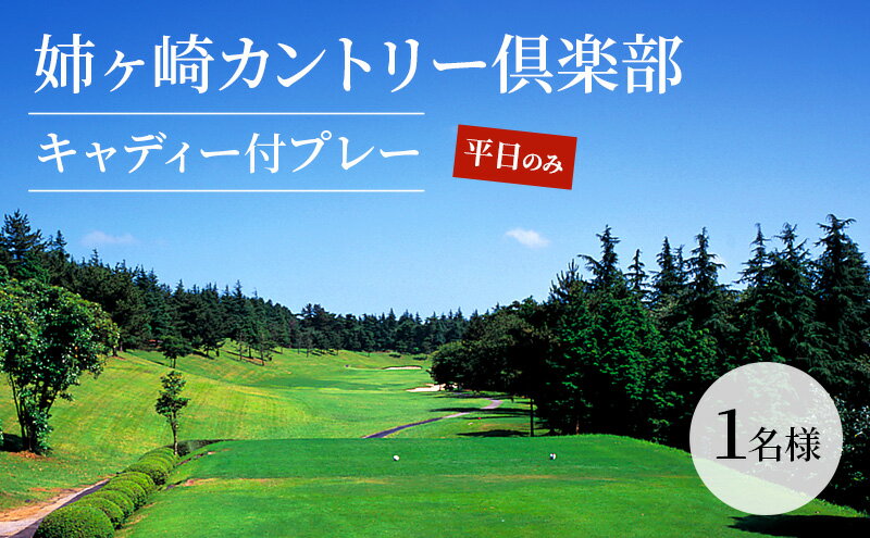 【ふるさと納税】ゴルフ場 千葉 姉ヶ崎カントリー倶楽部 キャディー付プレー 平日のみ 1名様 ゴルフ 関東 チケット ゴルフ場利用券 プレー券 施設利用券 サムネイル2