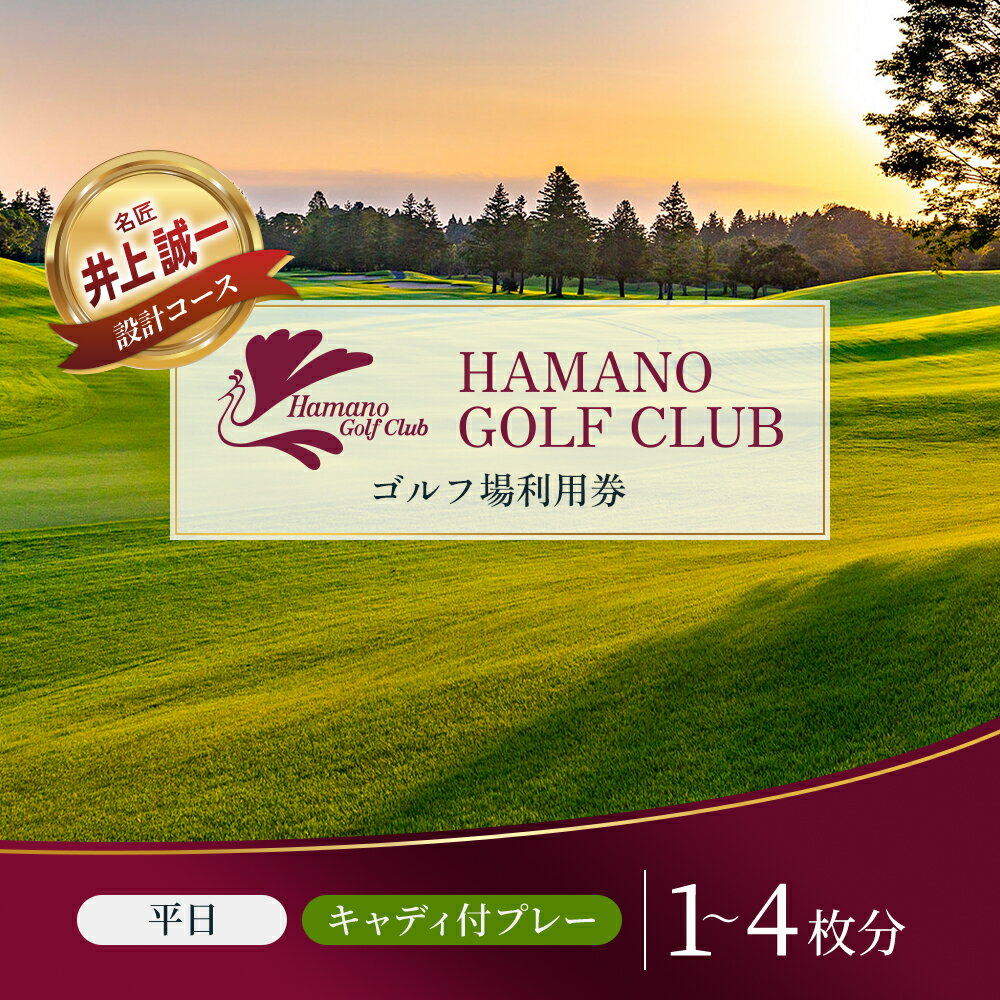 【ふるさと納税】〈券種が選べる〉ゴルフ場 千葉 浜野ゴルフクラブ 平日 1R キャディ付プレー券 1～4枚 ( 7月～9月 1月～3月) ゴルフ 関東 チケット ゴルフ場利用券 プレー券 施設利用券 サムネイル2