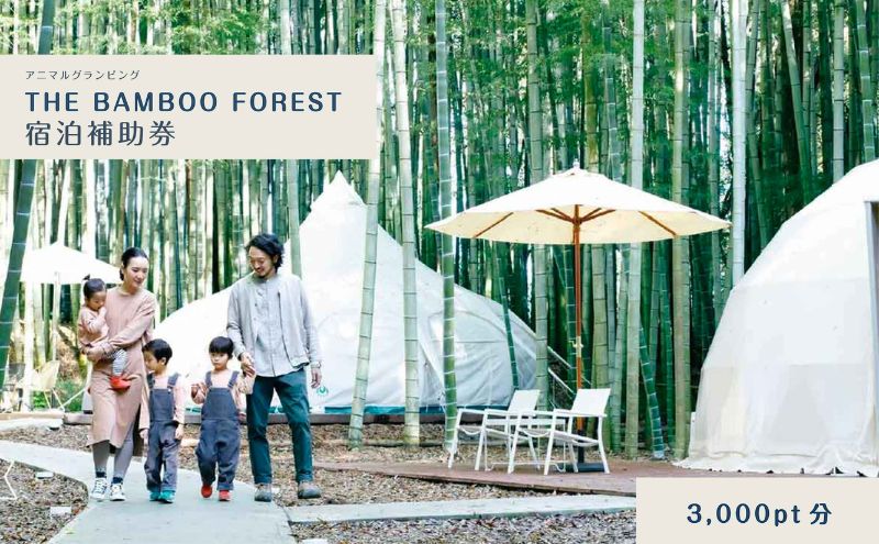 【ふるさと納税】グランピング 千葉 宿泊 アニマルグランピング THE BAMBOO FOREST 宿泊補助券 3000pt分 宿泊券 入場券 チケット 動物園 動物 旅行 レジャー テント アウトドア BBQ 自然 体験 - 画像2