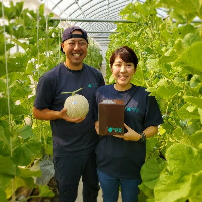 【ふるさと納税】令和7年分きむら農園の特級マスクメロン1玉【化粧箱入り】【1494647】 サムネイル2