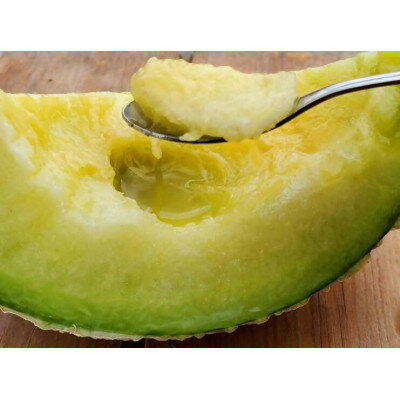 【ふるさと納税】令和7年分きむら農園の特級マスクメロン1玉【化粧箱入り】【1494647】 サムネイル3