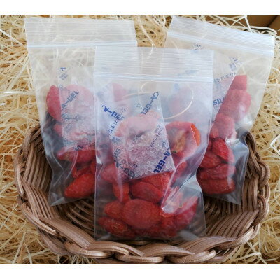 【ふるさと納税】【うまみの塊!】きむら農園の無添加セミドライミニトマト　約40g小分け×3P【配送不可地域：離島】【1558258】 - 画像3