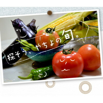 【ふるさと納税】千葉県八千代市 農産物直売所クラフト直送 旬の野菜セット【配送不可地域：離島・沖縄県】【1700413】 - 画像2