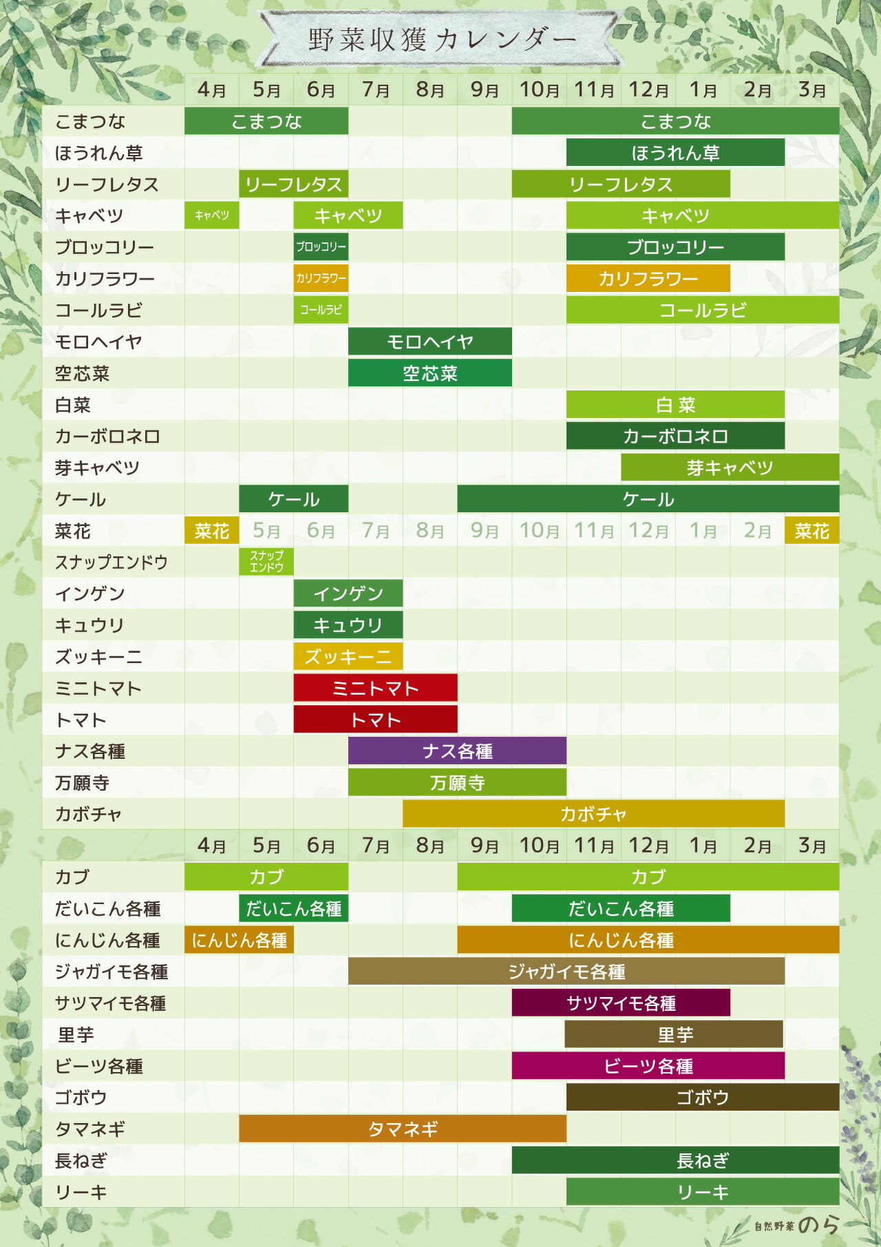 【ふるさと納税】季節の野菜セット (8~10種) 選べる 単発/定期便 - 画像3